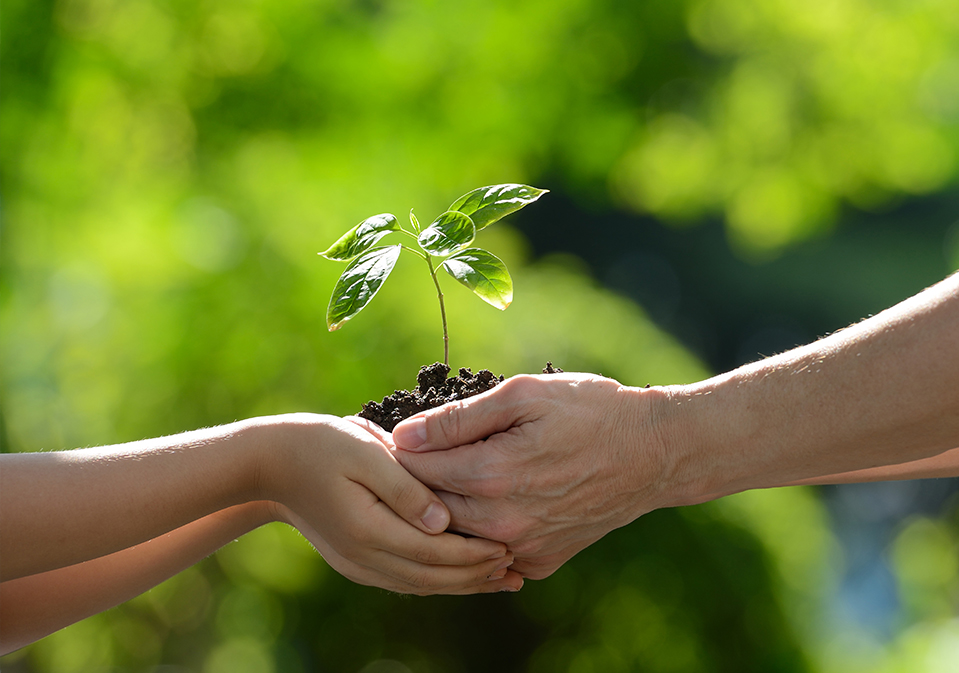 Сучжоу Цинтянь Новый Материал Ко., Лтд.