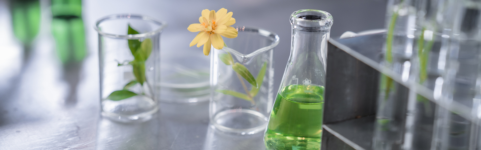 Сучжоу Цинтянь Новый Материал Ко., Лтд.